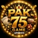 PAK75 Game