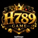 H789 Game