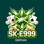 SKE999 Game